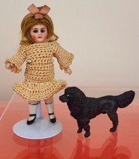 Raro, finissimo barboncino