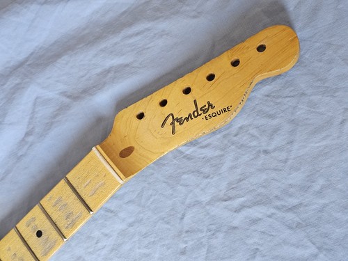 Tele anni esquire nocaster - anni,