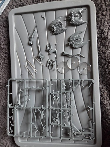 Screamers tzeentch - screamers, of