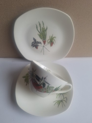 Tazza piattino piatto - tazza,, piattino,