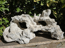 Arredo Decorazione Acquario