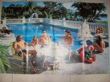 Poster e Articolo Eagles n° 31 Popster dell' anno 1980 