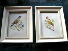 VITTORIO GUIDOTTI 2 quadri antichi con stampa uccelli acquarelli 1940 circa