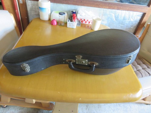 Mandolino impianto suzuki con - mandolino,