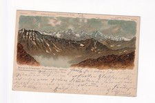 D5658)Cartolina REISCH firmata