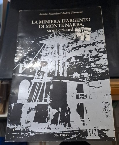 Miniera argento di monte - d'argento,