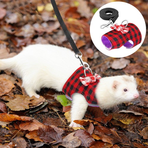 Gilet furetto criceto ratto