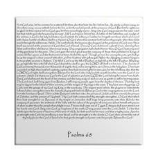 Calamita Frigo Salmi Capitolo