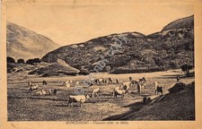 Postcard - Postcard -