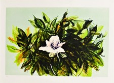 CAZZANIGA GIANCARLO-