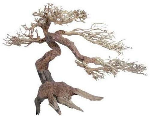 Legno oriental wind sm - legno,
