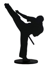Arti Marziali Karate Kung Fu