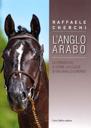 Anglo arabo la - arabo.,