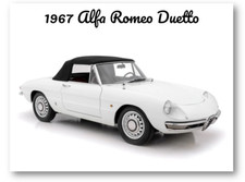 Calamita frigo cassetta