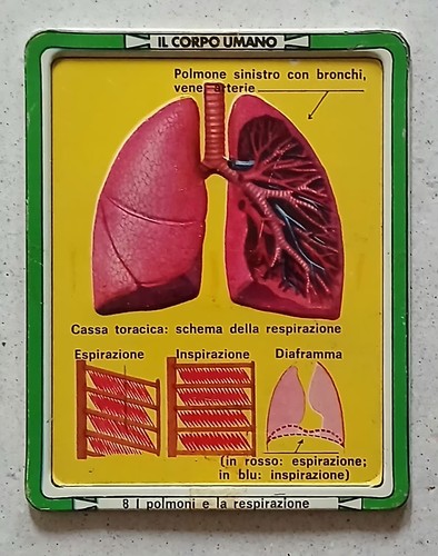 Placca metallo corpo - placca,