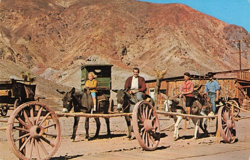 Calico ghost town burro - ghost,