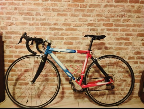 Pinarello prince vintage - pinarello,