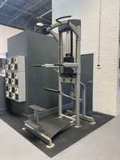 FREEMOTION EPIC CHIN DIP