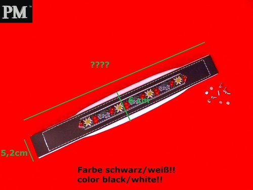 Fisarmonica bassgurt folk - fisarmonica-bassgurt,