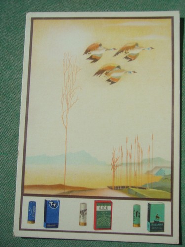 Cartolina originale 1934 - cartolina,