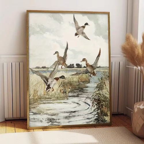 Poster anatre mallard che - mallard,