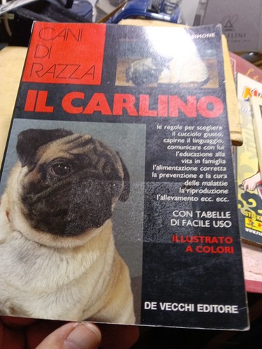 Cani razza carlino luisa - cani, il