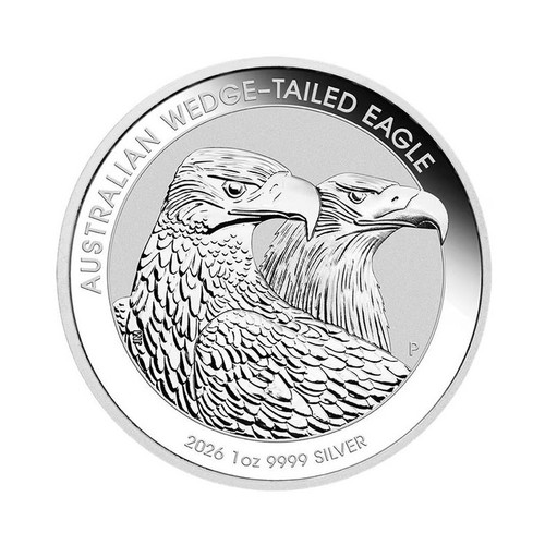 Australia wedge tailed - tailed, eagle
