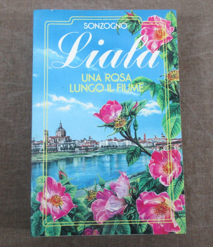 Romanzo amore sentimentale - romanzo, d'amore
