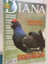 Diana 2001 forcello - 11, pointer