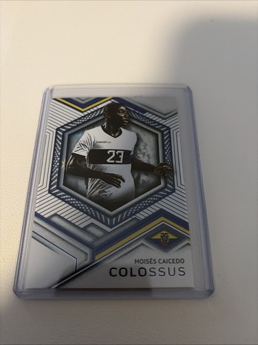 Moises caicedo futera colossus - moises,