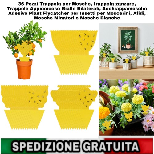 36pz trappola mosche - 36pz,