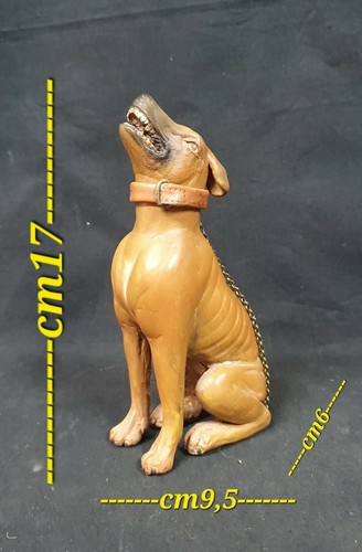 Cane gregge hund animale - cane,