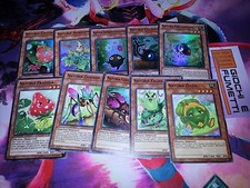 LOTTO 10 CARTE NATURIA tutte