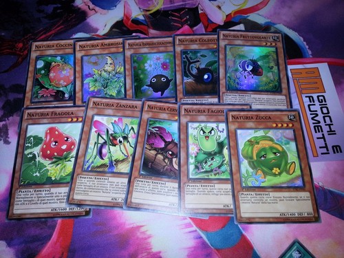 Lotto carte naturia - carte,
