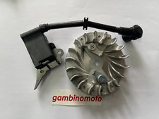 BOBINA + VOLANO MOTOSEGA