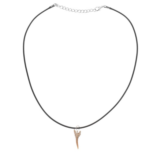 Collana con denti squalo - ,