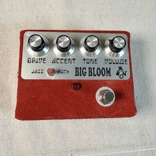 Amplified Nation Big Bloom