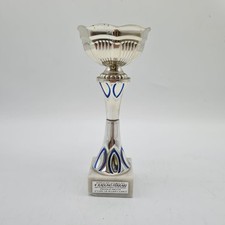 Ferrari Trophy race Trofeo Torino 2011 vintage 348 328 512 TR Testarossa 288 360