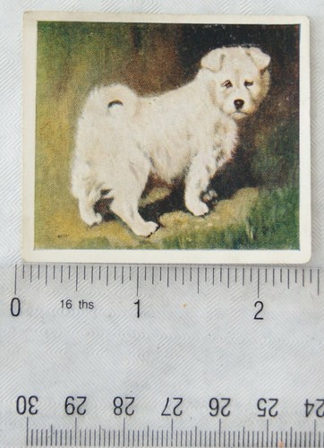 1936 godfrey phillips - phillips, our