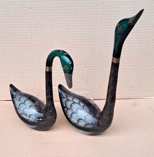 Coppia anatra papera - coppia,