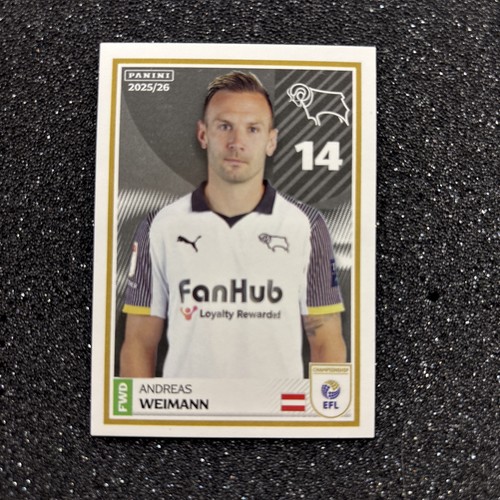 Panini efl 2025 - panini, 2025/26