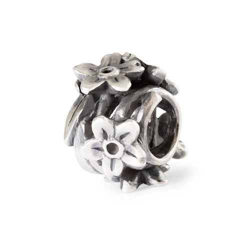 Moda trollbeads dolce - moda,