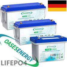 Batteria LiFePO4 12V 24V 100Ah
