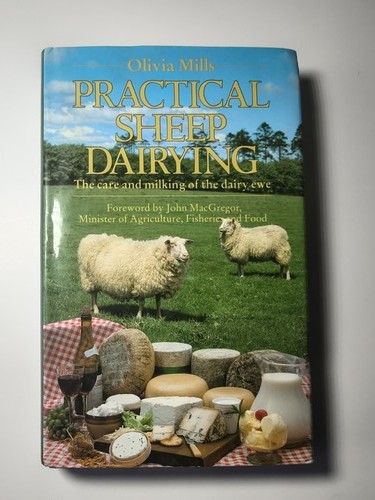 Practical sheep dairying - practical,
