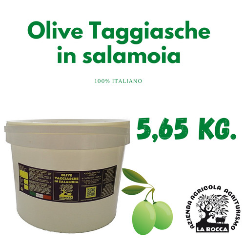 Olive taggiasche salamoia - in,