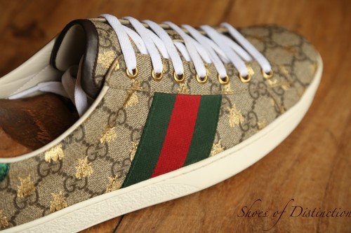 Scarpe ginnastica gucci - da,