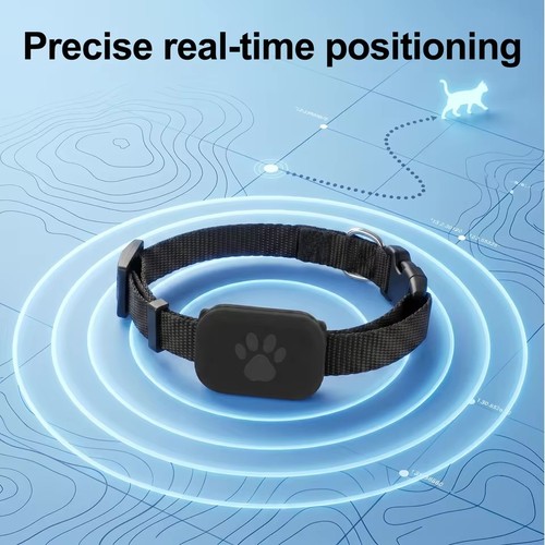 Localizzatore gps per cani - localizzatore,