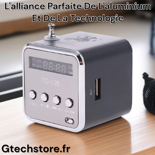 Mini radio station - mini, fm