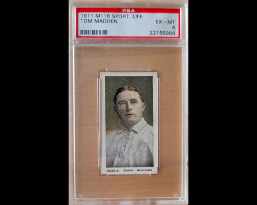 M116 1910 sporting life tom - sporting,