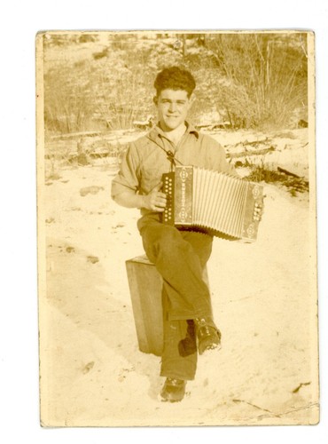 Uomo posa con - posa, fisarmonica